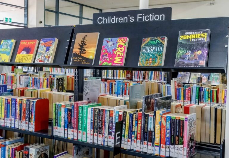 Library shelf with children's fiction books displayed.
