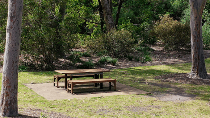 Picnic table in lush green park setting.
