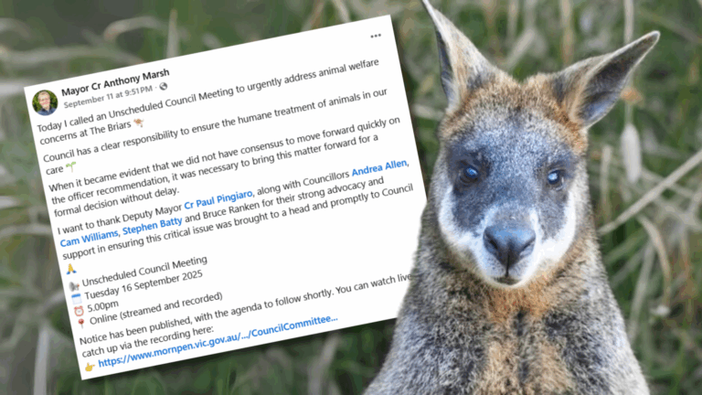 Kangaroo alongside council meeting notice on animal welfare.