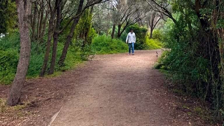 Person walking on forest path.