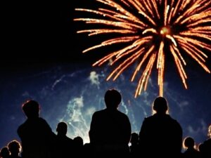 News,STPL News,Somerville Times,Peninsula Local,Frankston,Crime News,Mornington Peninsula Crime,Mornington Peninsula News,Frankston News,Mornington Peninsula Shire,Frankston City Council,Mornington Peninsula & Frankston,STPLNews