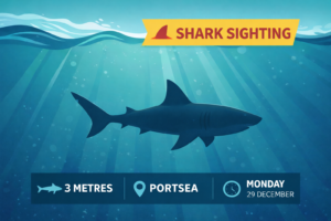 Illustrated great white shark underwater with “Shark Sighting” banner and details showing 3 metres, Portsea and Monday 29 December