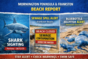 News,STPL News,Somerville Times,Peninsula Local,Frankston,Crime News,Mornington Peninsula Crime,Mornington Peninsula News,Frankston News,Mornington Peninsula Shire,Frankston City Council,Mornington Peninsula & Frankston,STPLNews