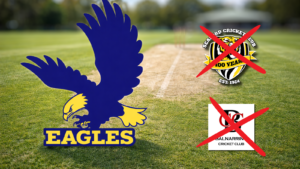 News,STPL News,Somerville Times,Peninsula Local,Frankston,Crime News,Mornington Peninsula Crime,Mornington Peninsula News,Frankston News,Mornington Peninsula Shire,Frankston City Council,Mornington Peninsula & Frankston,STPLNews