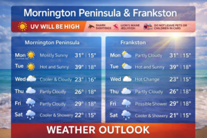 News,STPL News,Somerville Times,Peninsula Local,Frankston,Crime News,Mornington Peninsula Crime,Mornington Peninsula News,Frankston News,Mornington Peninsula Shire,Frankston City Council,Mornington Peninsula & Frankston,STPLNews