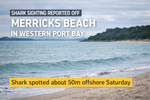 News,STPL News,Somerville Times,Peninsula Local,Frankston,Crime News,Mornington Peninsula Crime,Mornington Peninsula News,Frankston News,Mornington Peninsula Shire,Frankston City Council,Mornington Peninsula & Frankston,STPLNews