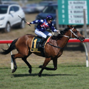 Diamanda winning the Balnarring Cup as her jockey celebrates during the race
