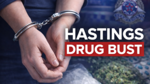 News,STPL News,Somerville Times,Peninsula Local,Frankston,Crime News,Mornington Peninsula Crime,Mornington Peninsula News,Frankston News,Mornington Peninsula Shire,Frankston City Council,Mornington Peninsula & Frankston,STPLNews