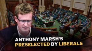 News,STPL News,Somerville Times,Peninsula Local,Frankston,Crime News,Mornington Peninsula Crime,Mornington Peninsula News,Frankston News,Mornington Peninsula Shire,Frankston City Council,Mornington Peninsula &amp; Frankston,STPLNews